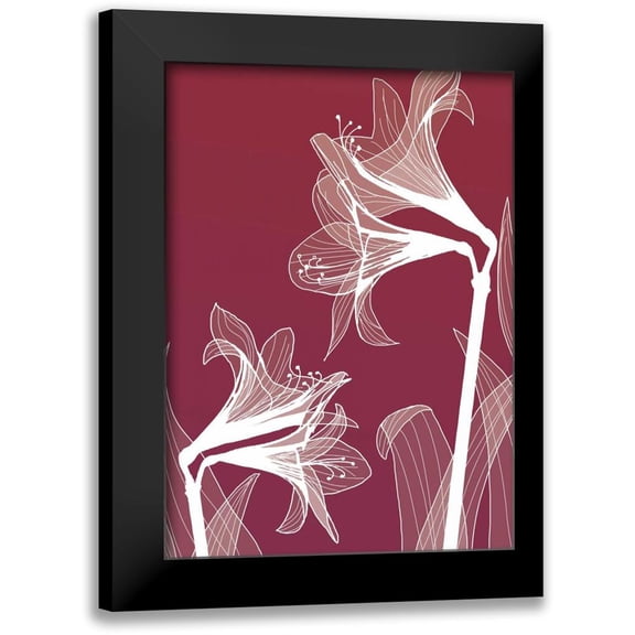 GraphINC 14x18 Black Modern Framed Museum Art Print Titled - X-ray Flowers