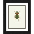 thumbnail image 1 of GraphINC 18x24 Black Ornate Wood Framed with Double Matting Museum Art Print Titled - Beetle Green, 1 of 4