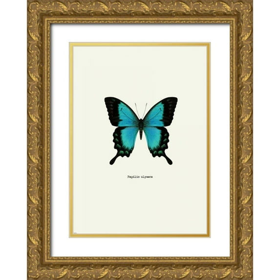 GraphINC 18x24 Gold Ornate Wood Framed with Double Matting Museum Art Print Titled - Blue Butterfly