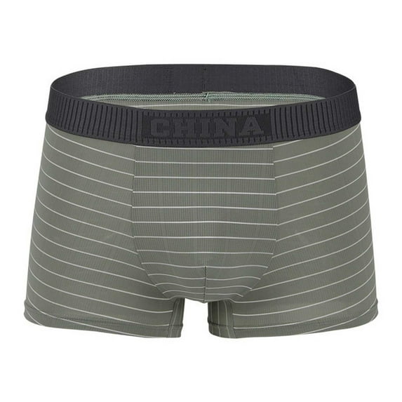 Graphene Boxer Briefs Men 3D U-Pouch Quick Dry Sports Underwear Mesh Breathable Mid Waist Nylon Striped Moisture Wicking Sexy Underpants