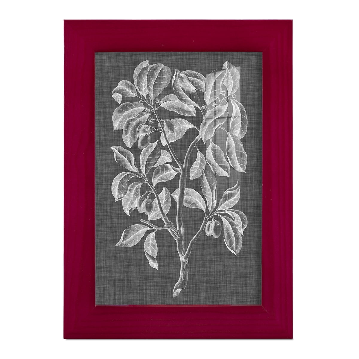Graphic Foliage I - Framed Print w/glass - Cherry Red