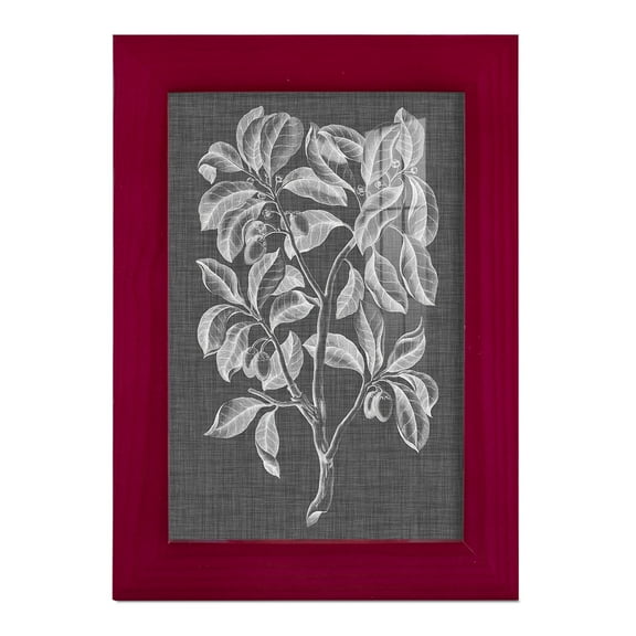 Graphic Foliage I - Framed Print w/glass - Cherry Red