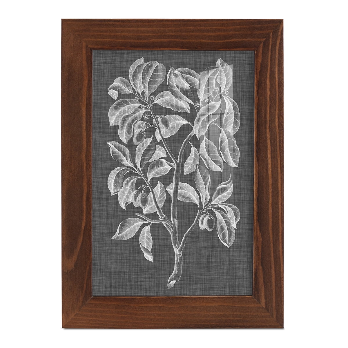 Graphic Foliage I - Framed Print w/glass - Chestnut