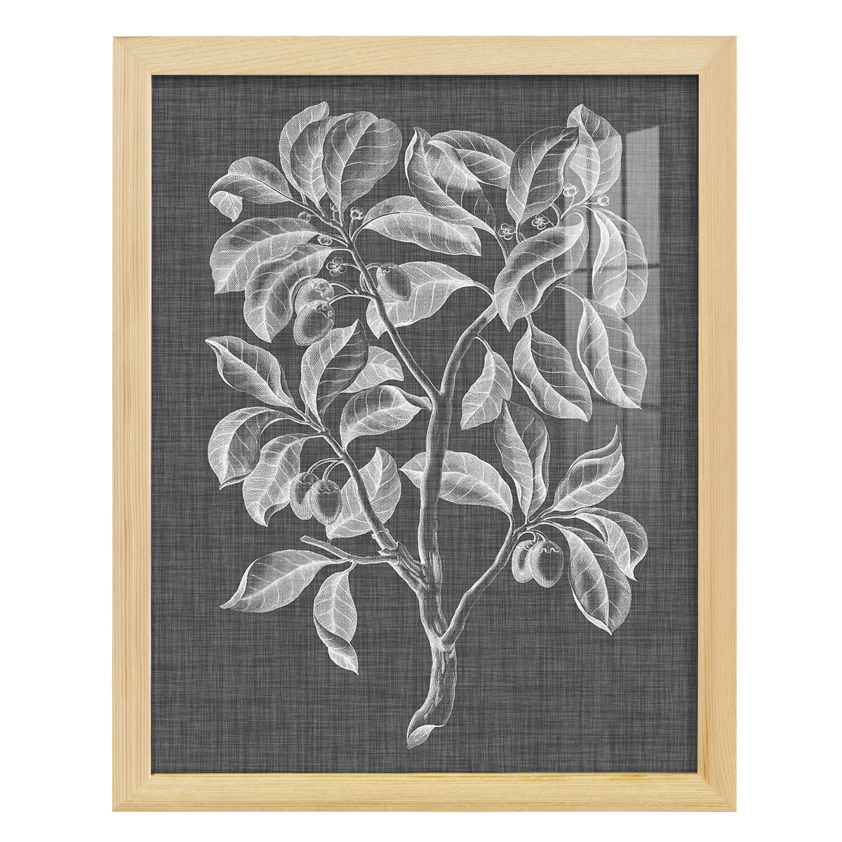 Graphic Foliage I - Framed Print w/glass - Natural Wood