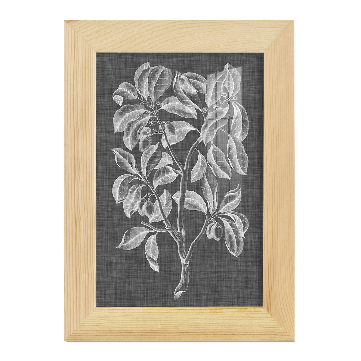 Graphic Foliage I - Framed Print w/glass - Natural Wood