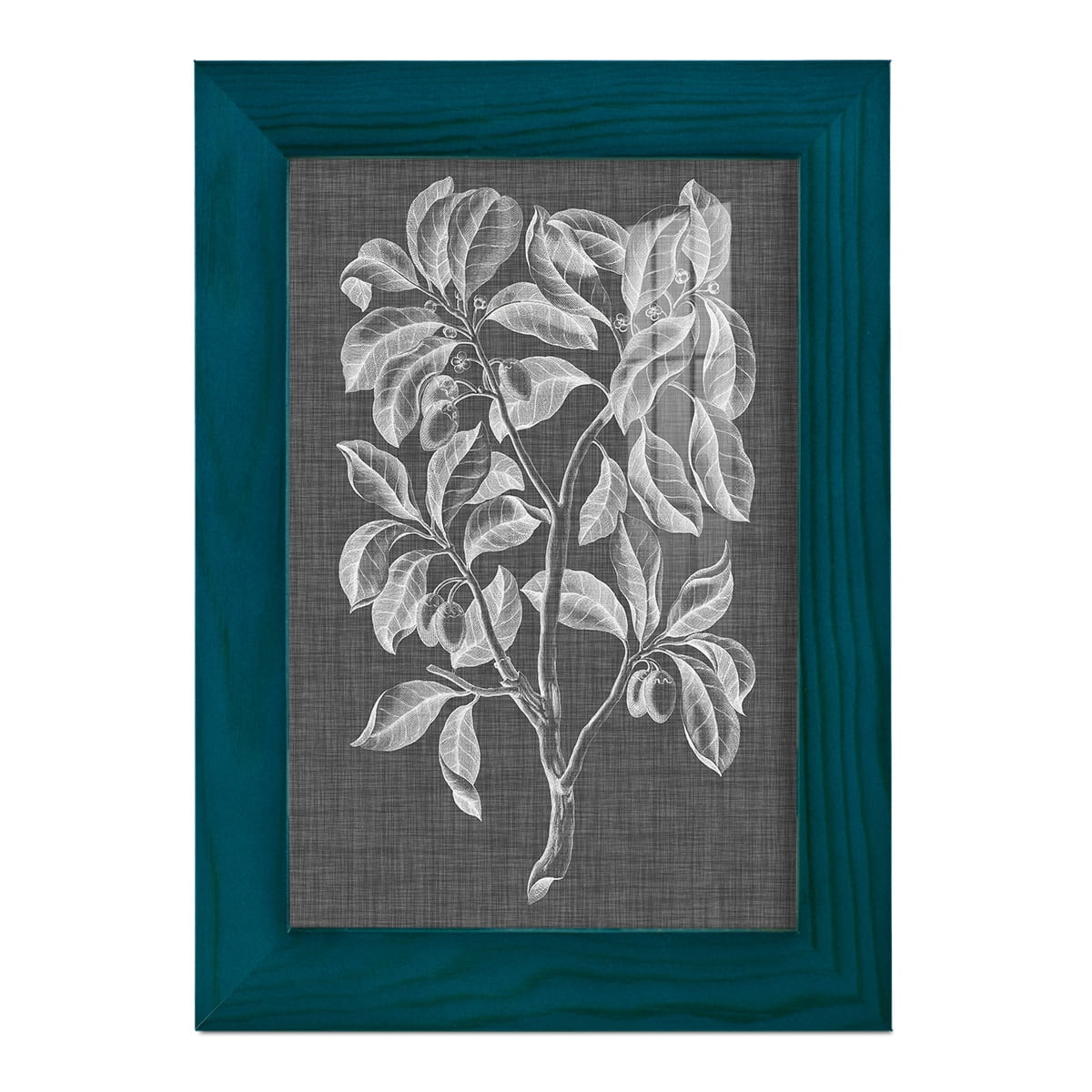 Graphic Foliage I - Framed Print w/glass - Ocean Blue