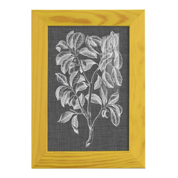 Graphic Foliage I - Framed Print w/glass - Sunflower Yellow