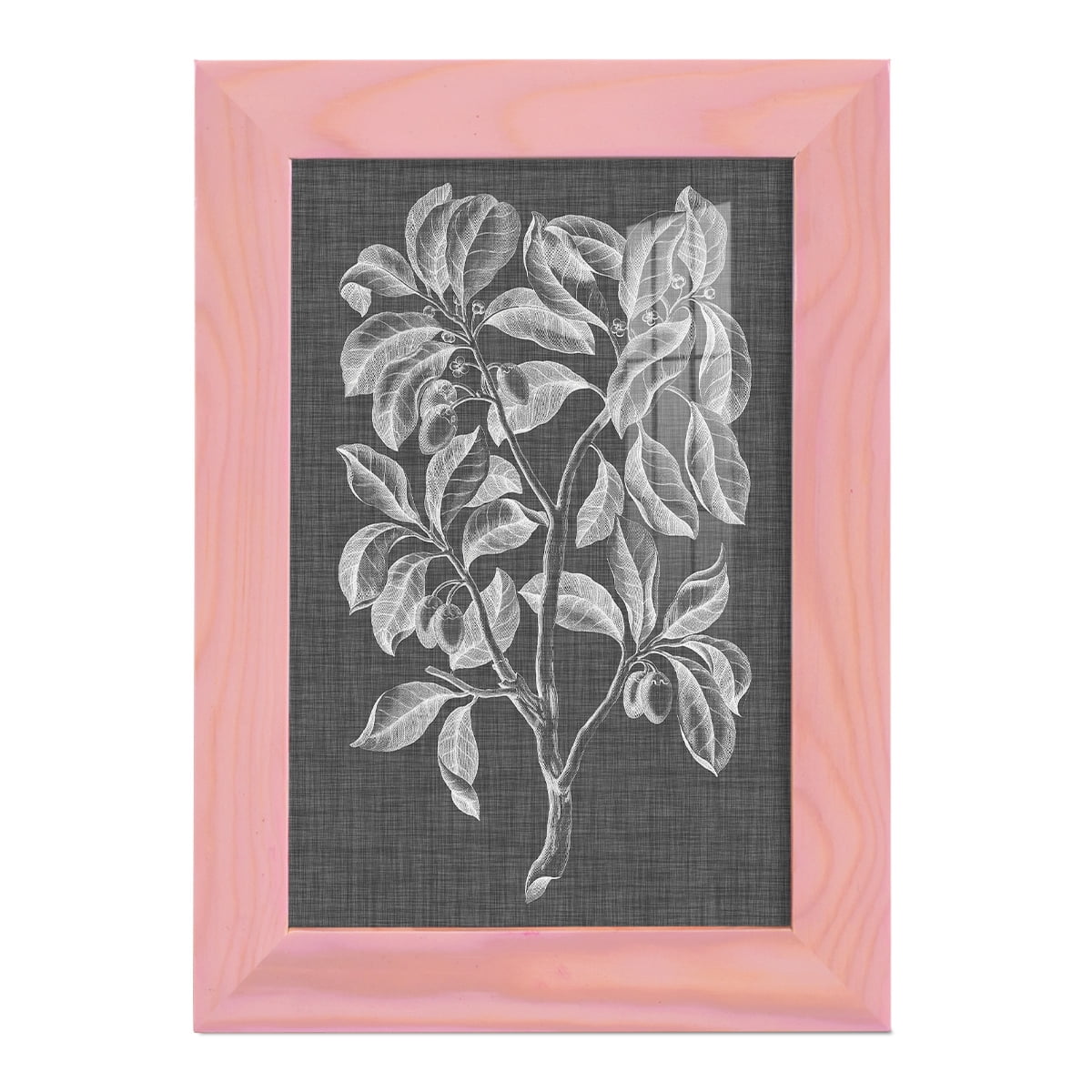 Graphic Foliage I - Framed Print w/glass - Sunset Pink