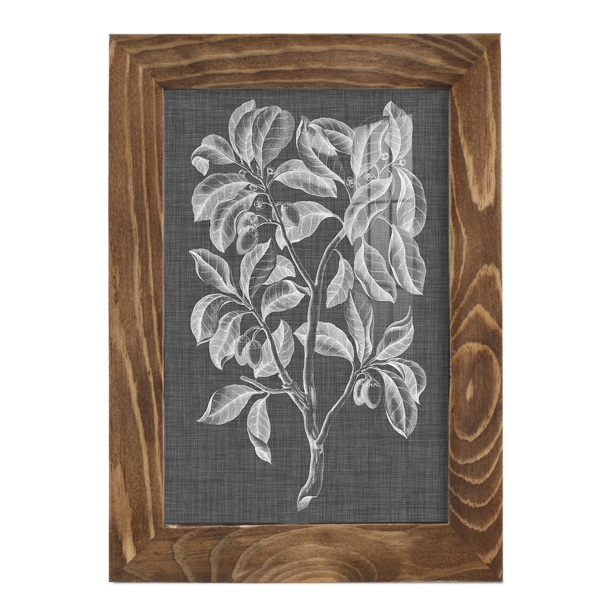 Graphic Foliage I - Framed Print w/glass - Walnut