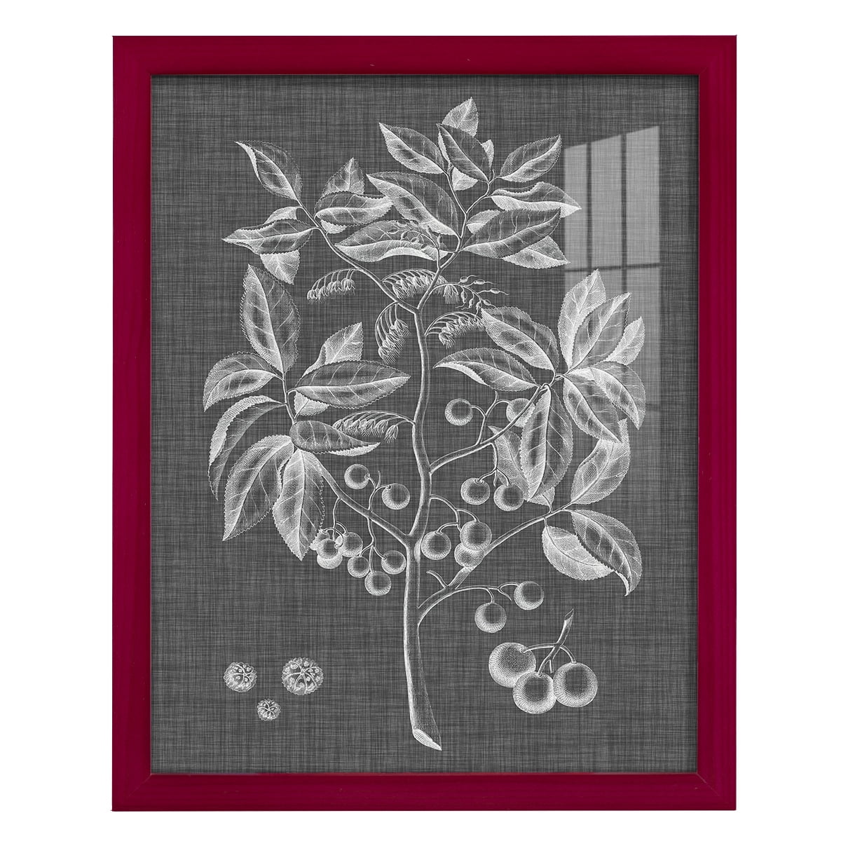 Graphic Foliage VI - Framed Print w/glass - Cherry Red