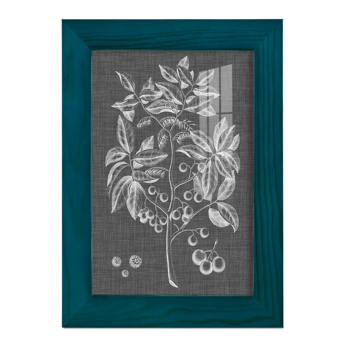 Graphic Foliage VI - Framed Print w/glass - Ocean Blue