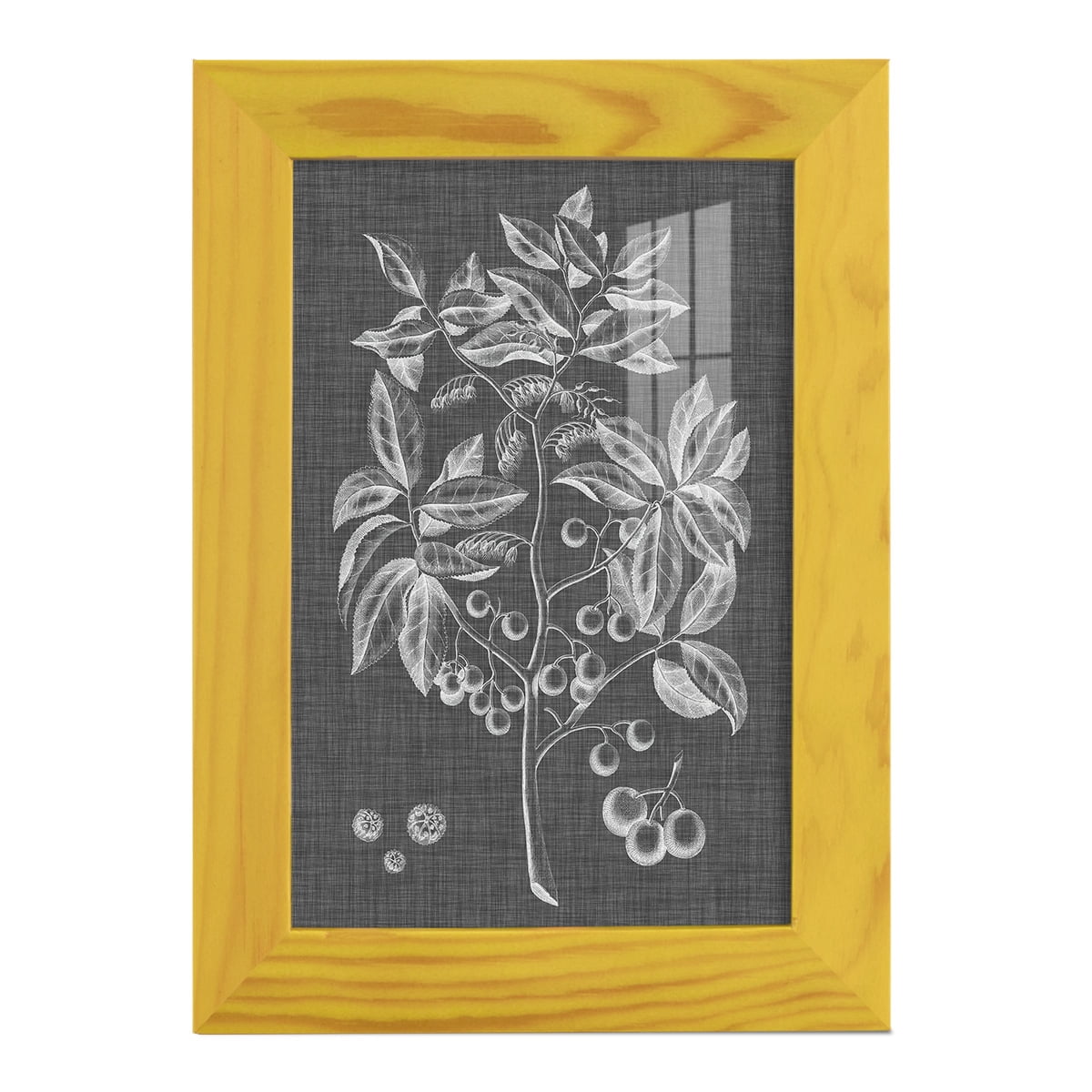 Graphic Foliage VI - Framed Print w/glass - Sunflower Yellow