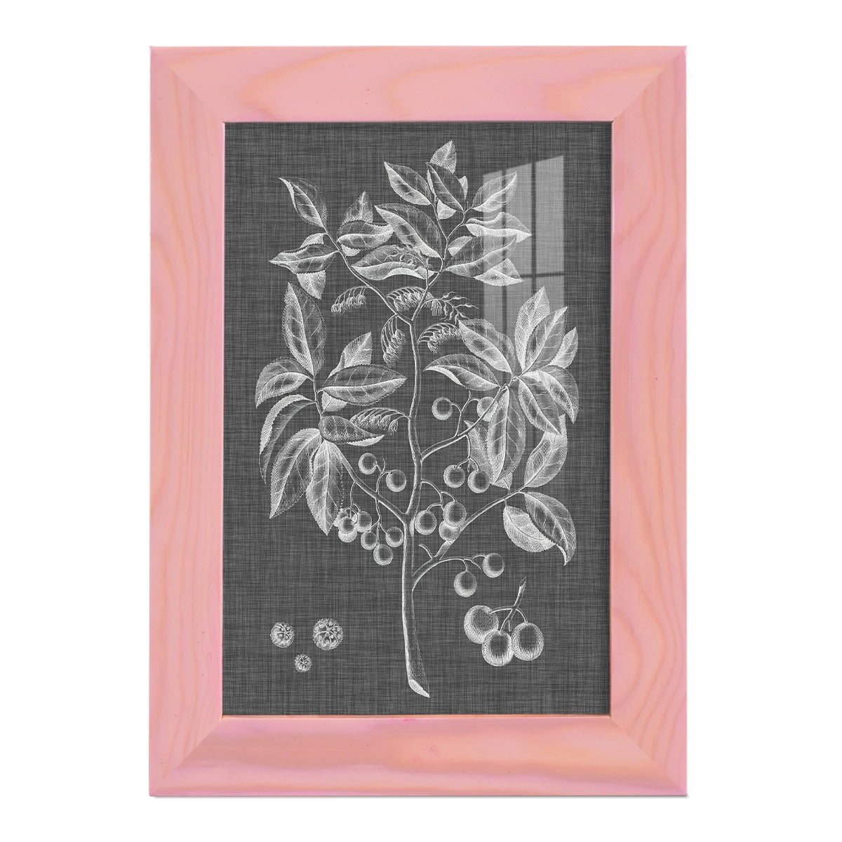Graphic Foliage VI - Framed Print w/glass - Sunset Pink
