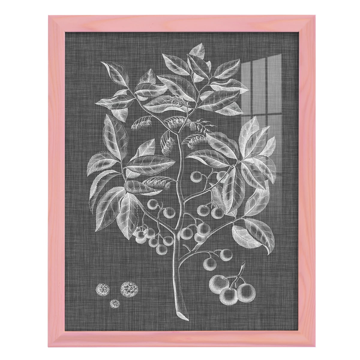 Graphic Foliage VI - Framed Print w/glass - Sunset Pink