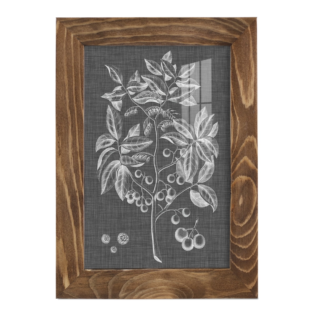 Graphic Foliage VI - Framed Print w/glass - Walnut