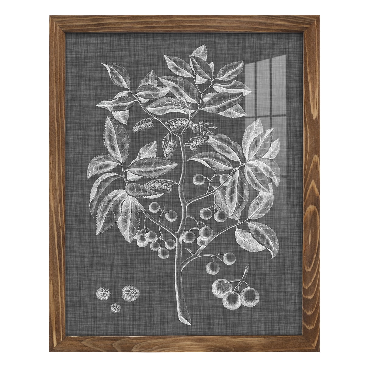 Graphic Foliage VI - Framed Print w/glass - Walnut