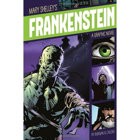 Pre-Owned Frankenstein: A Graphic Novel (Paperback) 1496500288 9781496500281