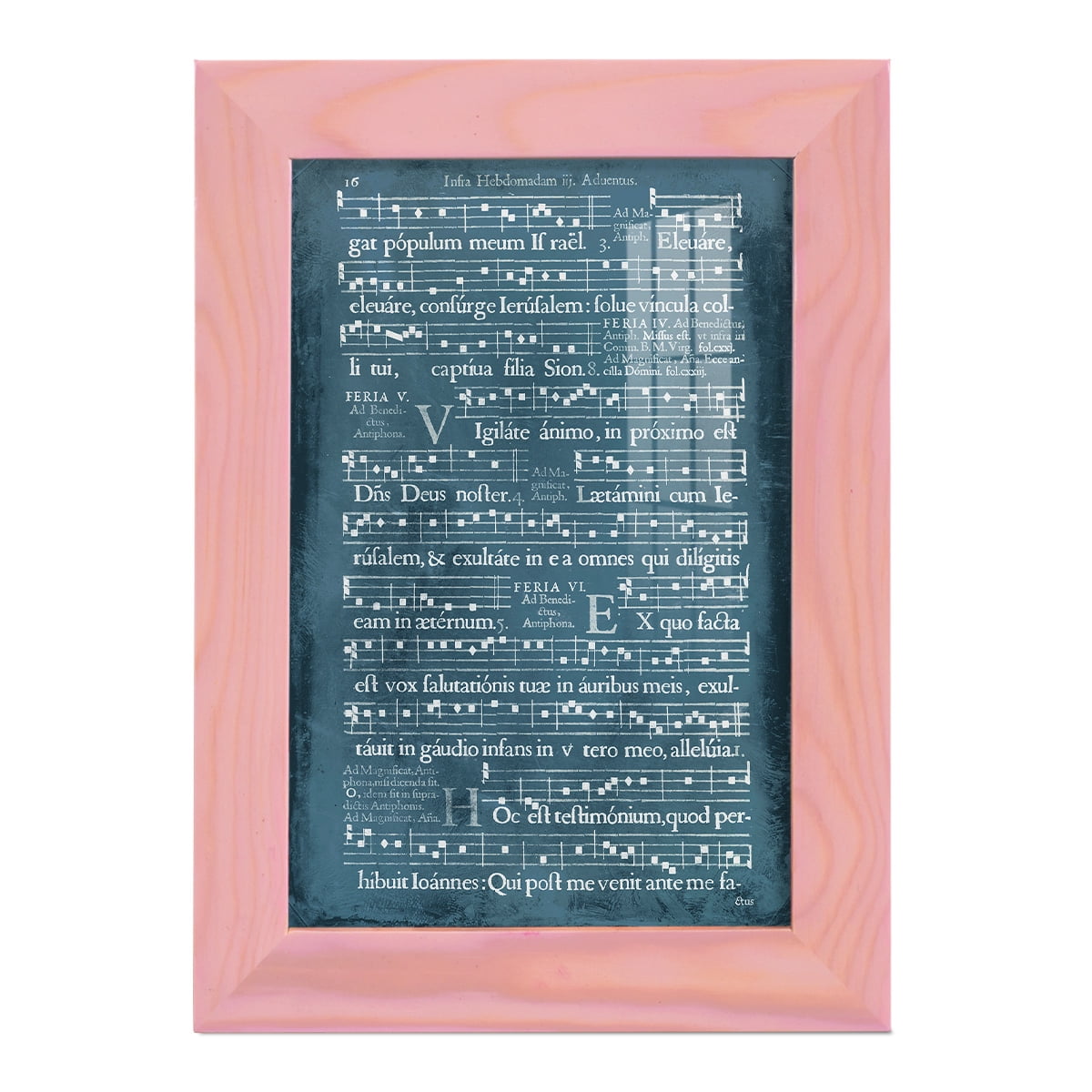 Graphic Songbook I -Framed Print w/glass-Sunset Pink