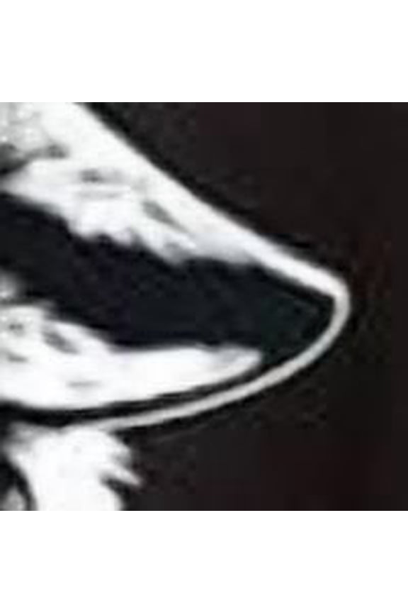 Graphic Wolf Howling Moon Forest Nature Wildlife Animal T-Shirt Unisex Adults Men Women Crew Neck Short Sleeve Tees