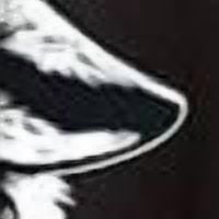 Greenink Graphic Wolf Howling Moon Forest Nature Wildlife Animal T-Shirt Unisex Adults Men Women Crew Neck Short Sleeve Tees