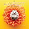 thumbnail image 1 of Graphique 2025 Happiest Hedgehogs Mini Wall Calendar - 7” x 7” - Thick Paper - Home & Office Organizer - Large Monthly Grid - 3 Languages & Marked Holidays - 4 Month Preview Page for 2026, 1 of 6