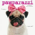 Graphique 2025 Pawparazzi Wall Calendar 12” x 12” Thick Paper