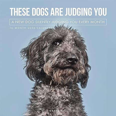 Graphique 2026 Judging Dogs Wall Calendar - 12” x 12” - Thick Paper - Home & Office Organizer - Large Monthly Grid - 3 Languages & Marked Holidays - 4 Month Preview Page for 2027