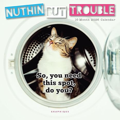 Graphique 2026 Nuthin' But Trouble Mini Wall Calendar - 7” x 7” - Thick Paper - Home & Office Organizer - Large Monthly Grid - 3 Languages & Marked Holidays - 4 Month Preview Page for 2027