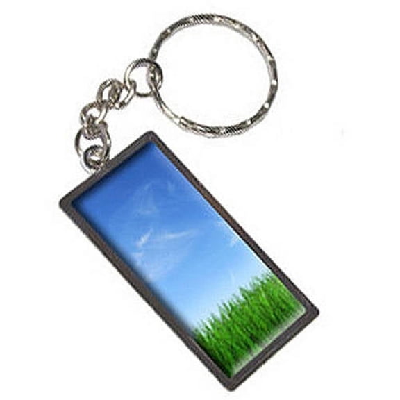 Grass And Sky Keychain Key Chain Ring