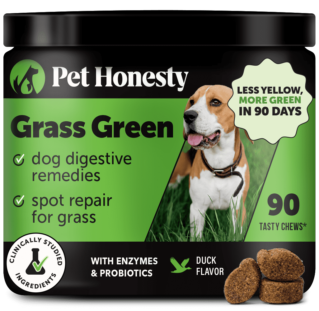 Grass Green Digestive Health Soft Chews for Dogs, Duck Flavor - Walmart.com
