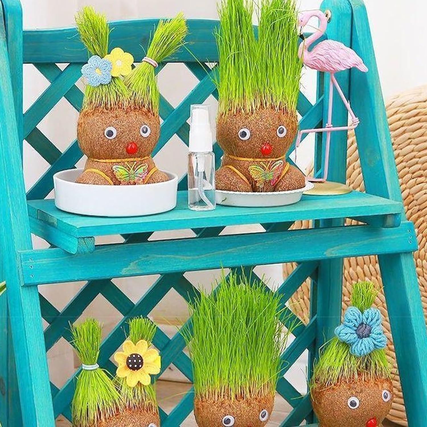Grass Head Doll Plant With Trays & Spray Bottles, Grass Head Growing