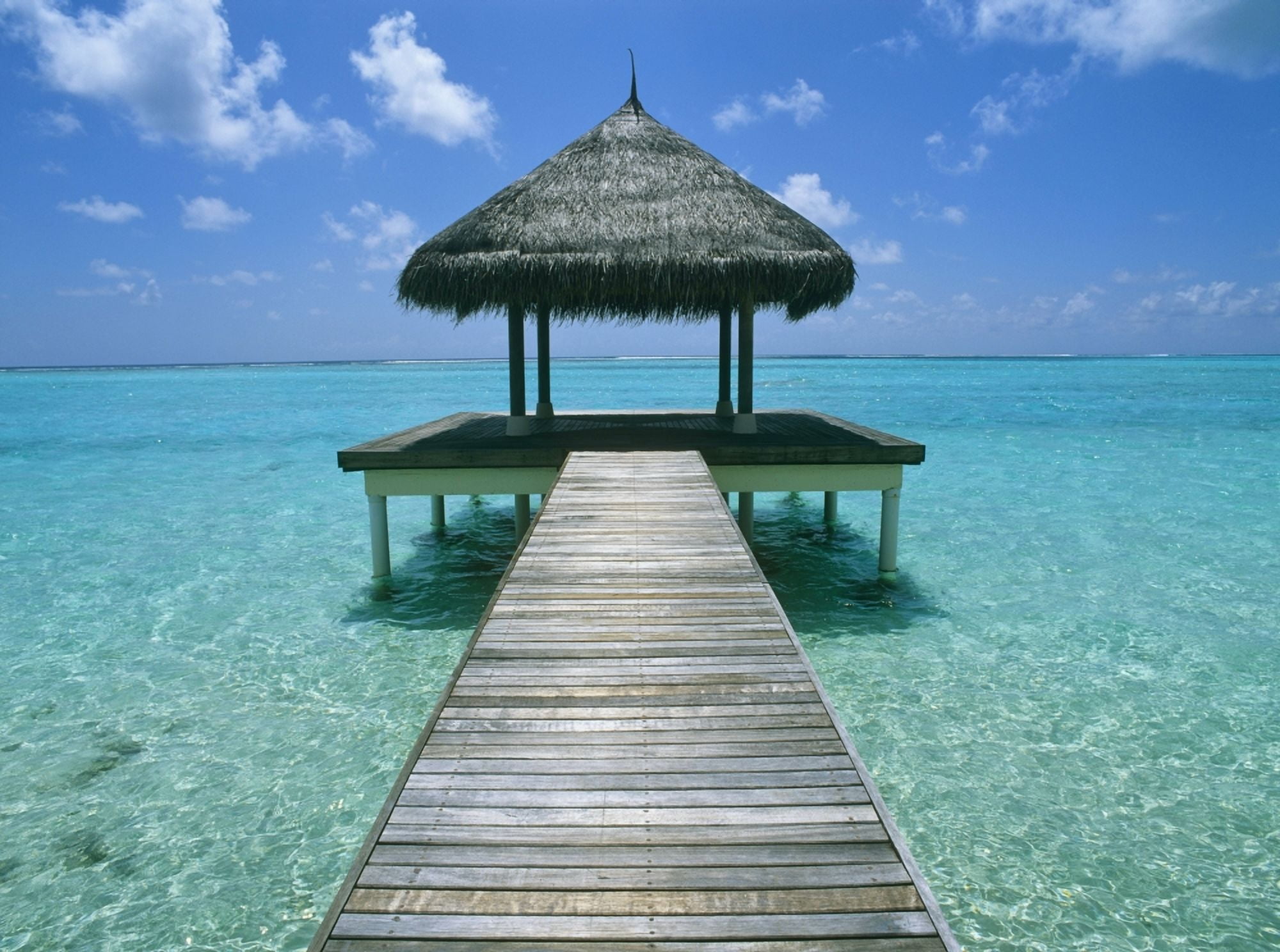 Grass Hut And Pier Canvas Art - Chris Caldicott Design Pics (36 x 26)