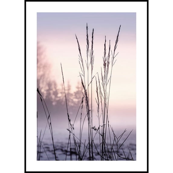 Grass In Sunset Poster Wall Art, Modern Wall Decor For Living Room Bedroom, 24x36 UNFRAMED
