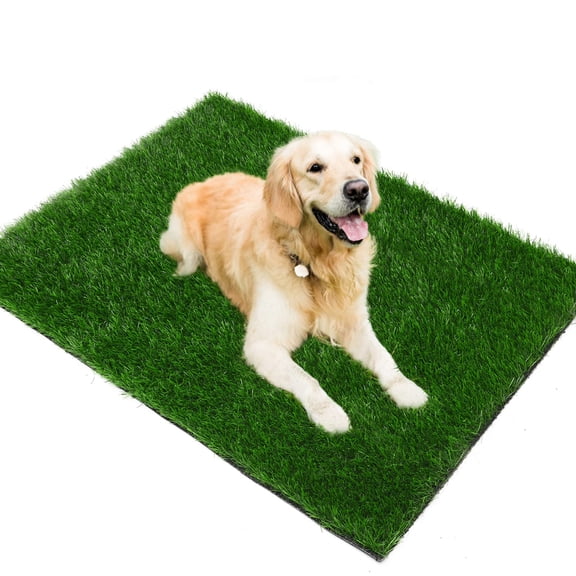 Grass Pad for Dogs 35cmx35cm, Strong Absorbency Soft and Real Grass for Pets Potty Training, Easy to Clean Fake Grass for Dog Indoor Outdoor Use (1 Pcs)