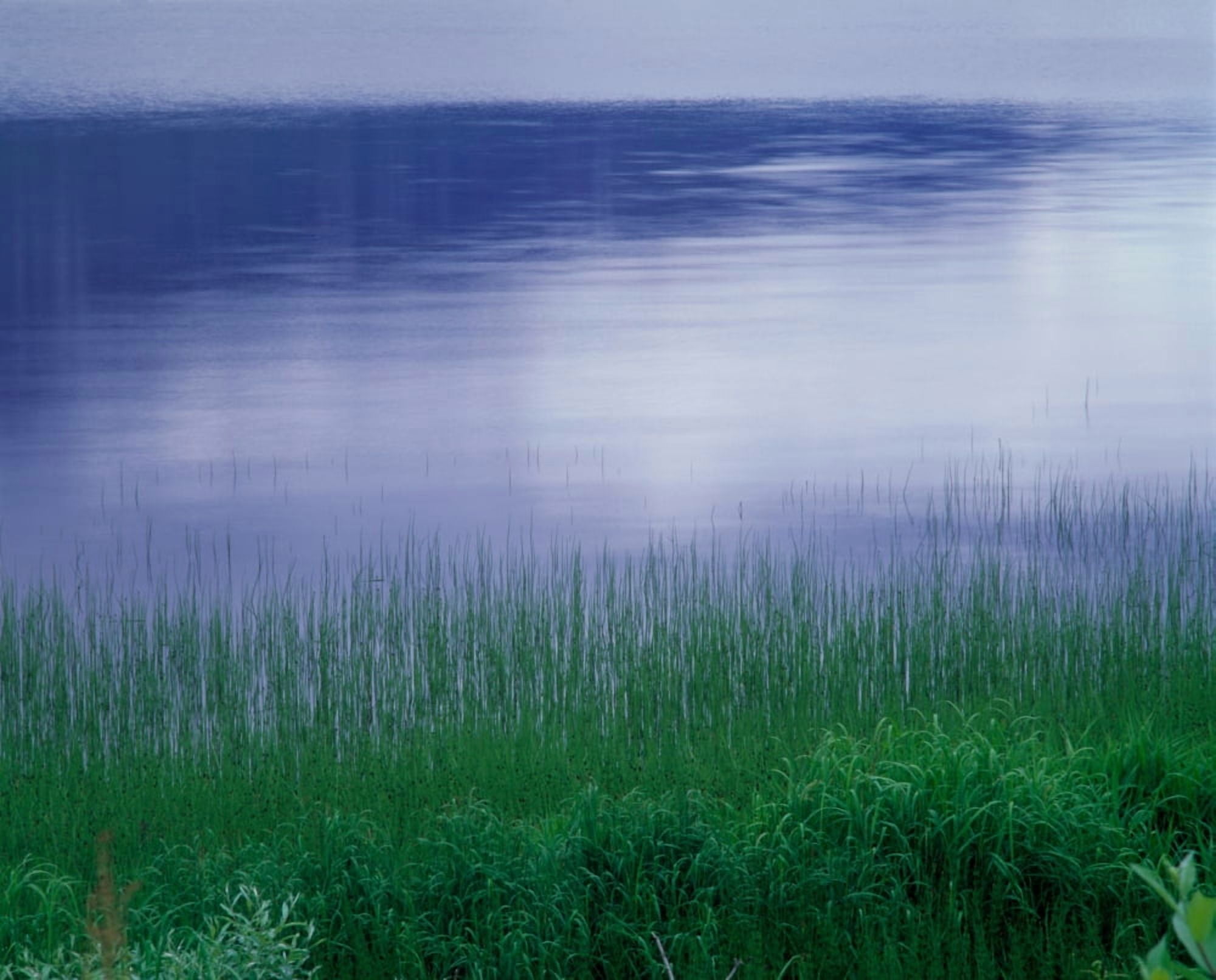 Grass along a river Norway Canvas Art - Panoramic Images (28 x 22)