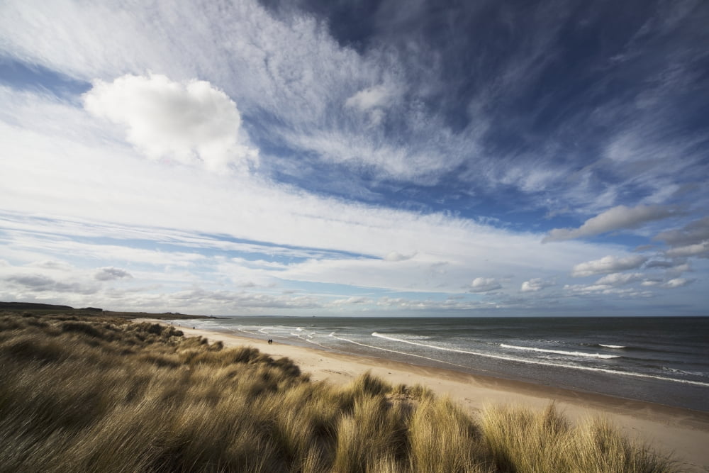 Grass blowing in the wind and sand along the waters edge Bamburgh Northumberland England Canvas Art - John Short Design Pics (19 x 12)