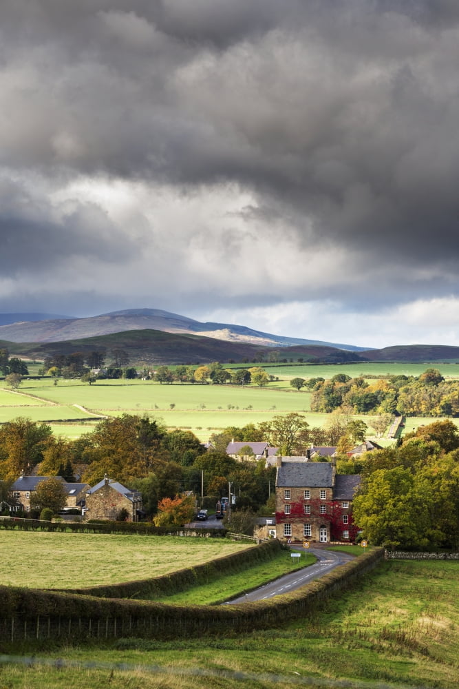Grass fields and autumn coloured trees under storm clouds Wittingham Northumberland England Canvas Art - John Short Design Pics (12 x 19)