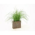 thumbnail image 1 of Grass in Small Bronze Rectangle Vase, 1 of 1