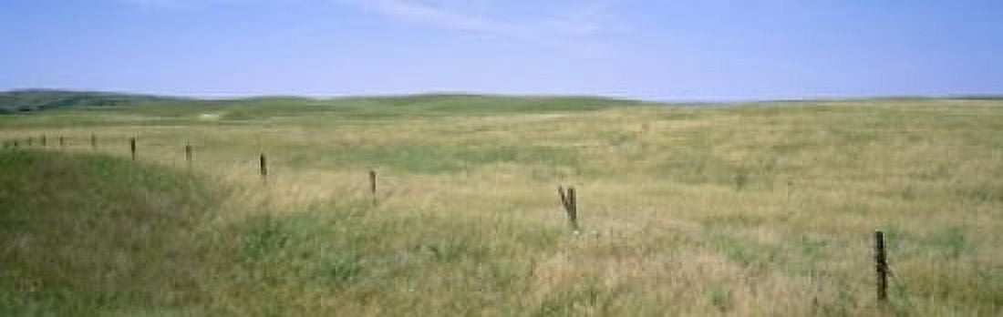 Grass on a field Cherry County Nebraska USA Canvas Art - Panoramic Images (18 x 6)