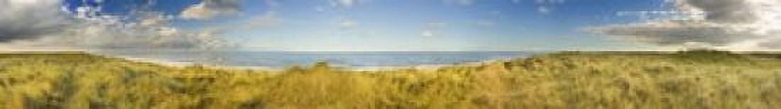 Grass on the beach Horsey Beach Norfolk England Canvas Art - Panoramic Images (44 x 7)