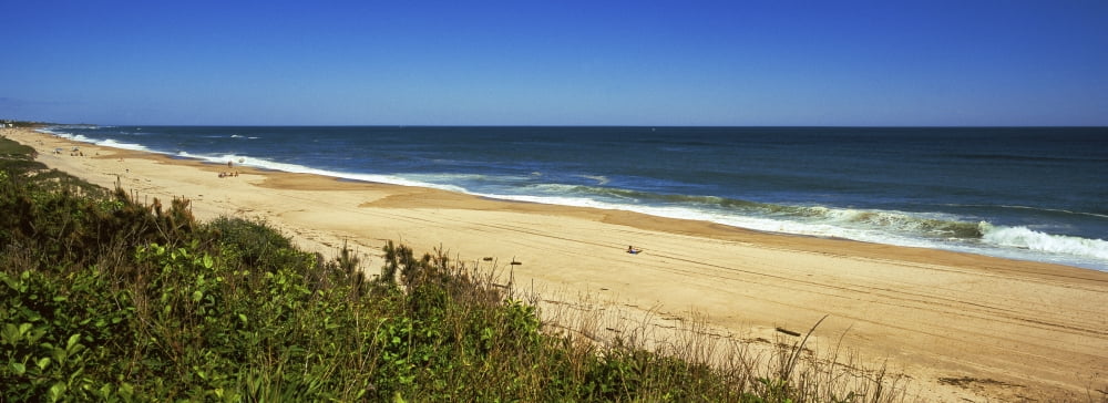 Grass on the beach Montauk Point Montauk Suffolk County New York State USA Canvas Art - Panoramic Images (36 x 12)