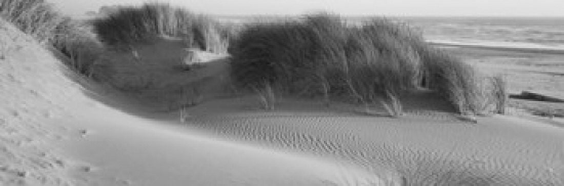 Grass on the beach Pacific Ocean Bandon State Natural Area Bandon Oregon USA Canvas Art - Panoramic Images (18 x 6)