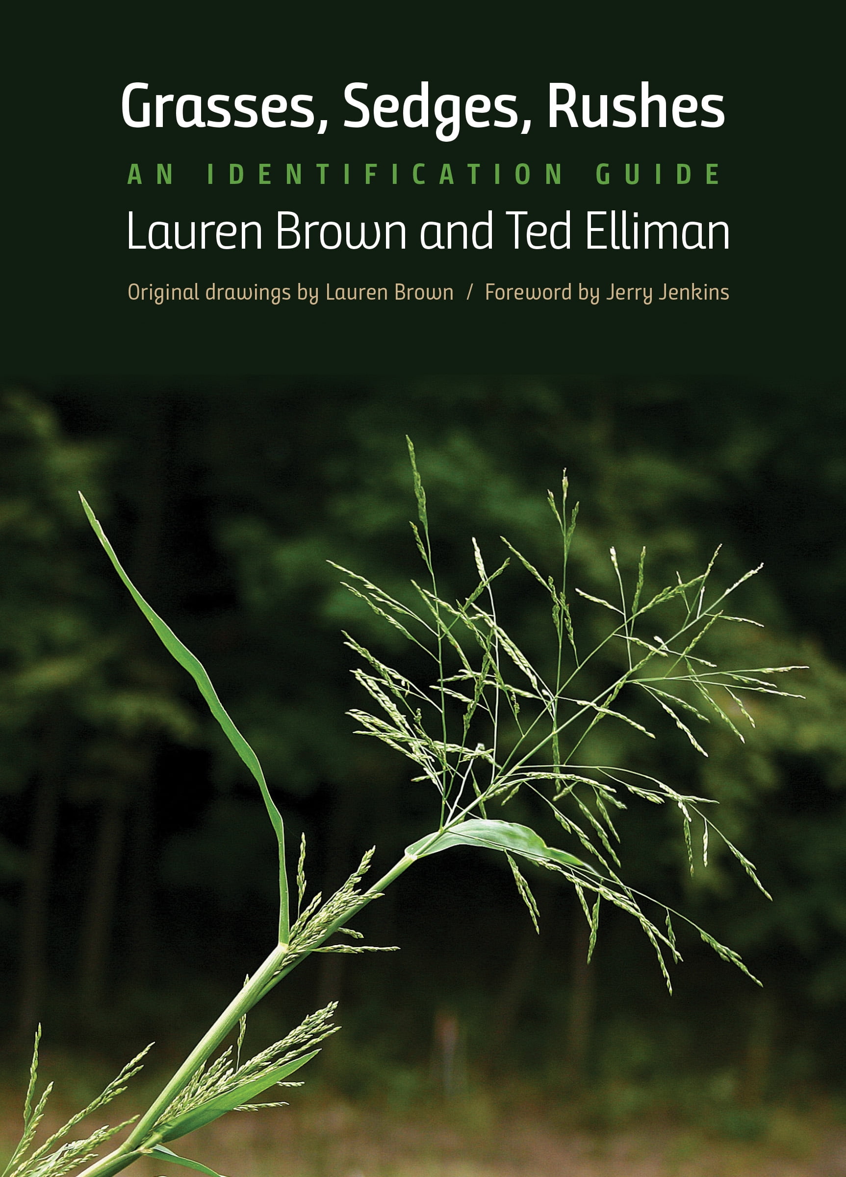 Grasses, Sedges, Rushes An Identification Guide (Paperback)