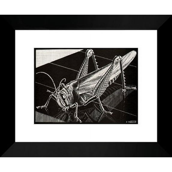 Grasshopper 20x24 Framed Art Print by M.C. Escher