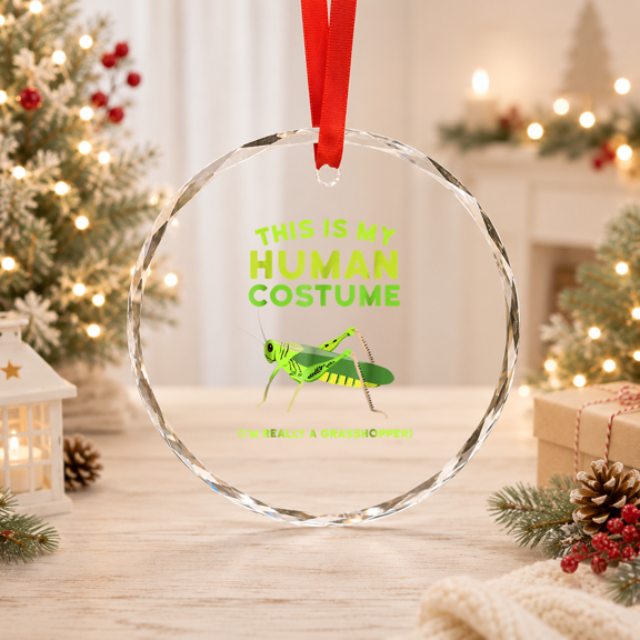 Grasshopper Glass Ornament For Kids - This Is My Human Costume Glass Ornament