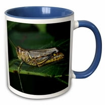 3drose, Grasshopper on a Leaf, 11oz Two-tone Blue Mug