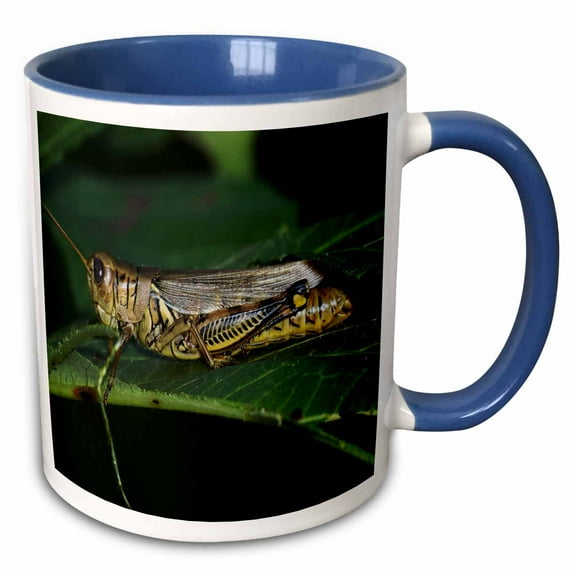 3drose, Grasshopper on a Leaf, 11oz Two-tone Blue Mug