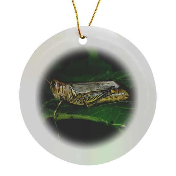3drose, Grasshopper on a Leaf, Circle Porcelain Ornament