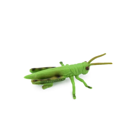Grasshopper, Rubber Insect, Hand Painted, Realistic Toy Figure, Model, Replica, Kids, Educational, Gift, 3 1/2" CH272 BB124