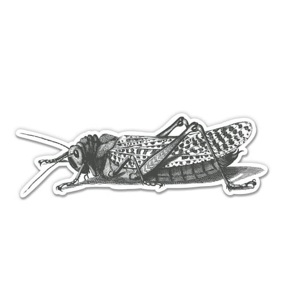Grasshopper Vintage Style - 3" Vinyl Sticker - For Car Laptop I-Pad Phone Helmet Hard Hat - Waterproof Decal